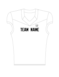 Team Name